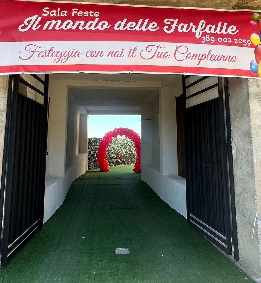 sala feste mondo farfalle ()