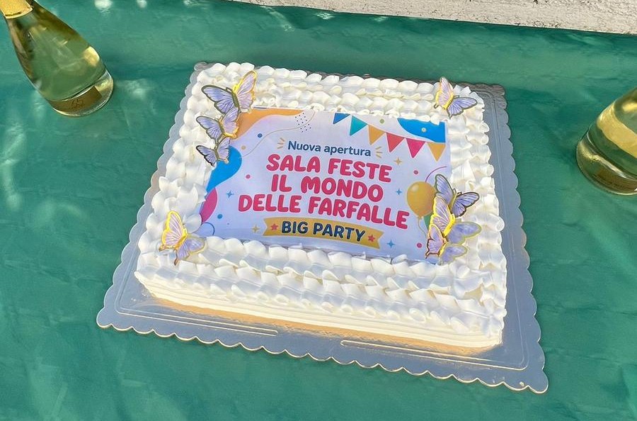 sala feste mondo farfalle ()