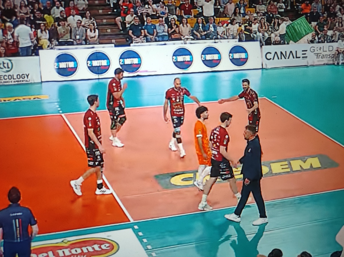 Domotek Belluno cad