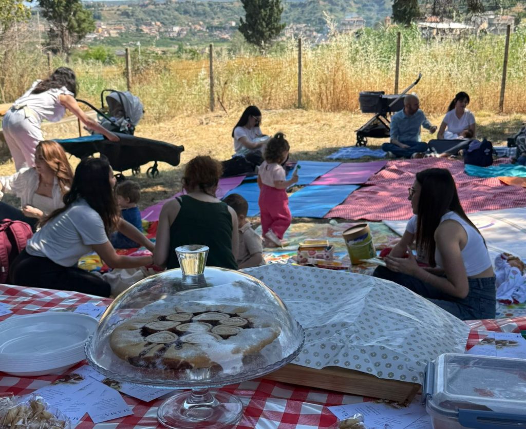THE MAMA PICNIC ()