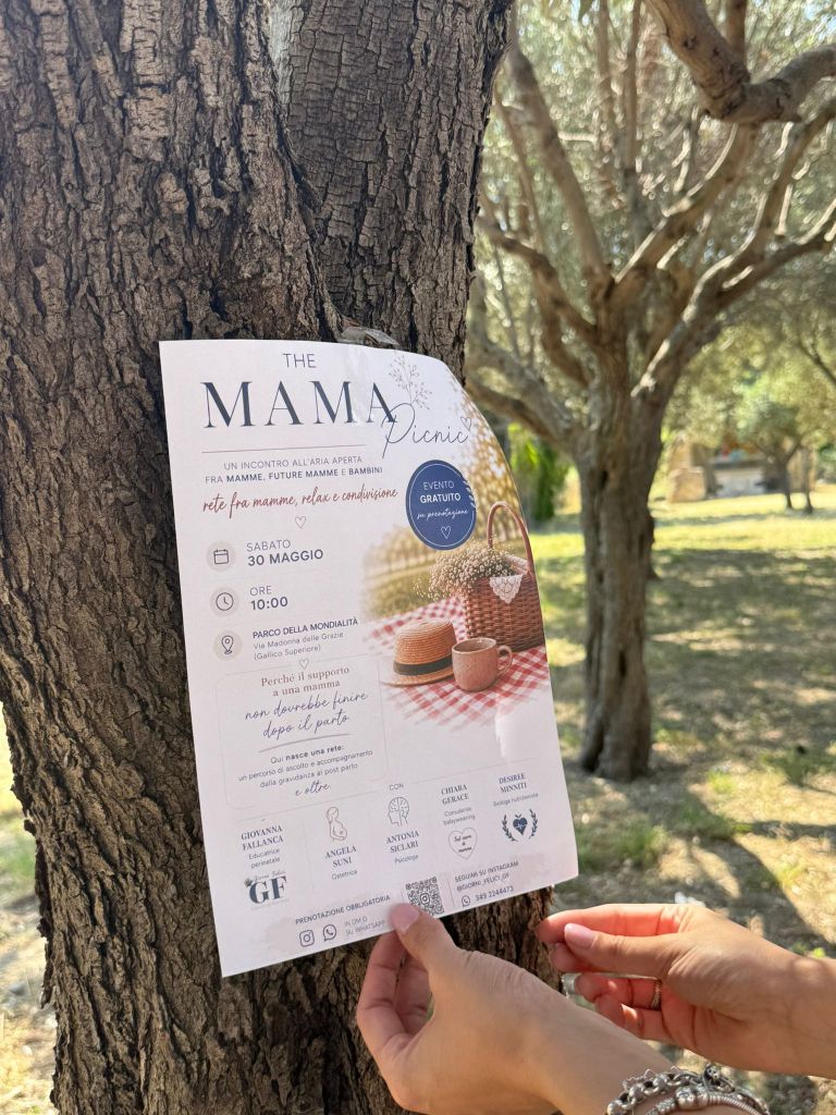 THE MAMA PICNIC ()