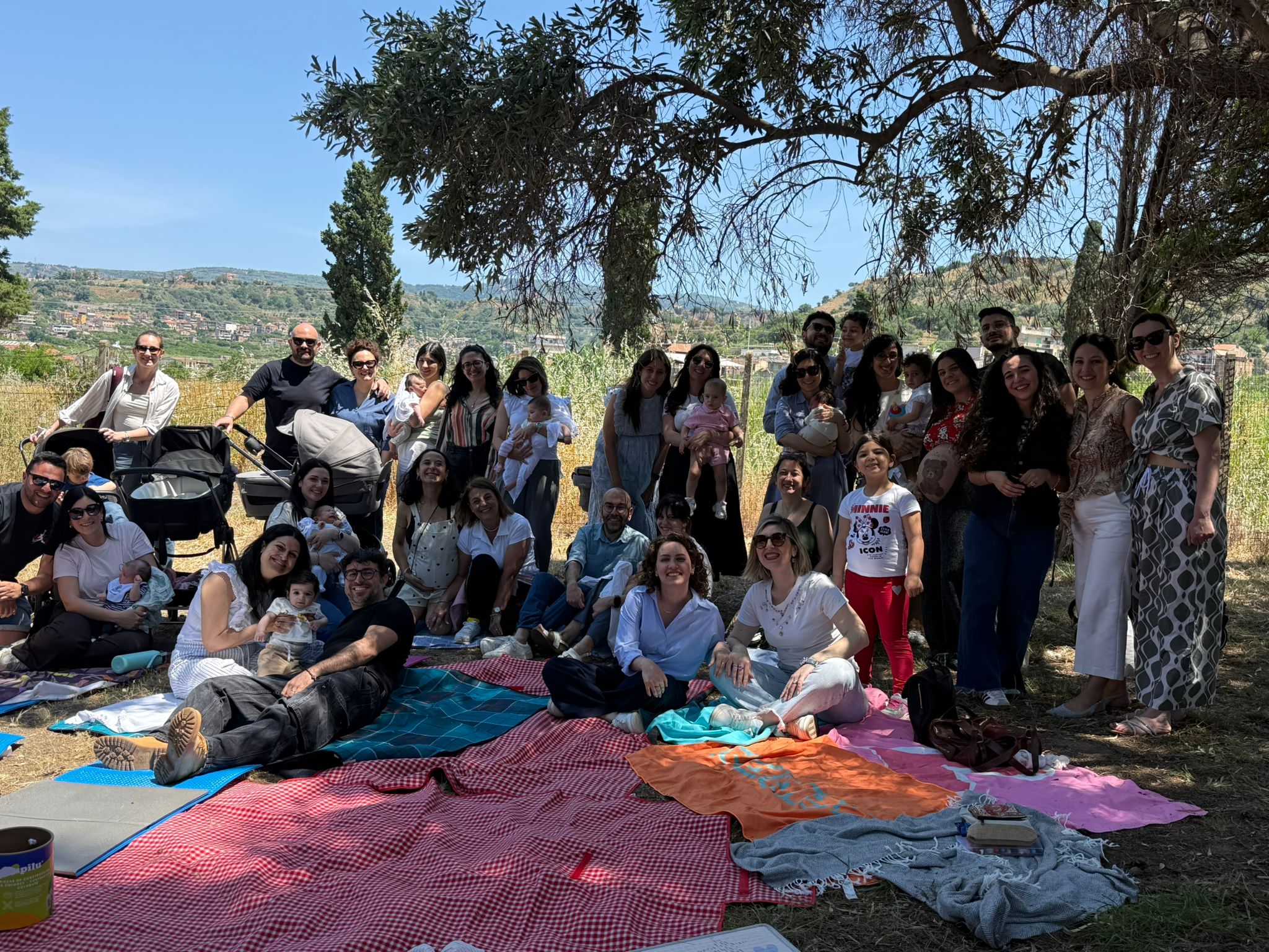 THE MAMA PICNIC ()