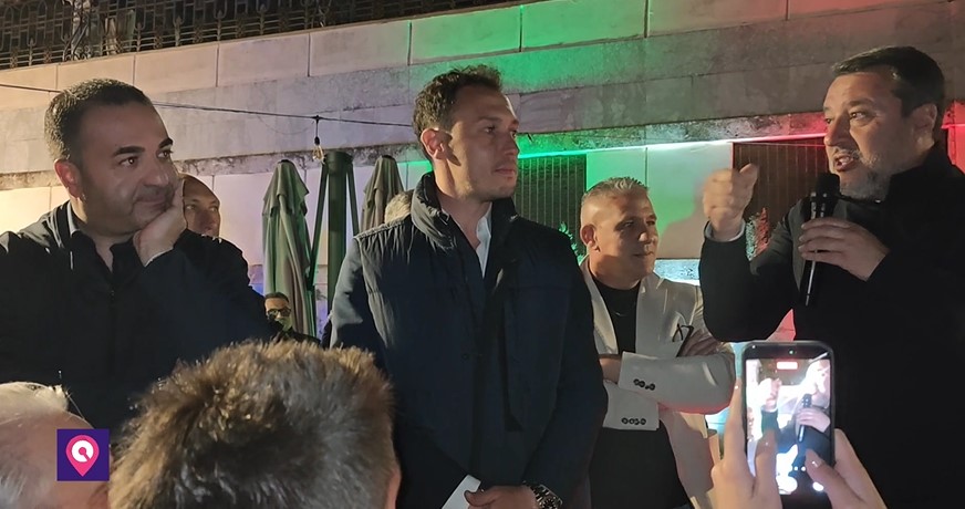 cannizzaro mattiani salvini