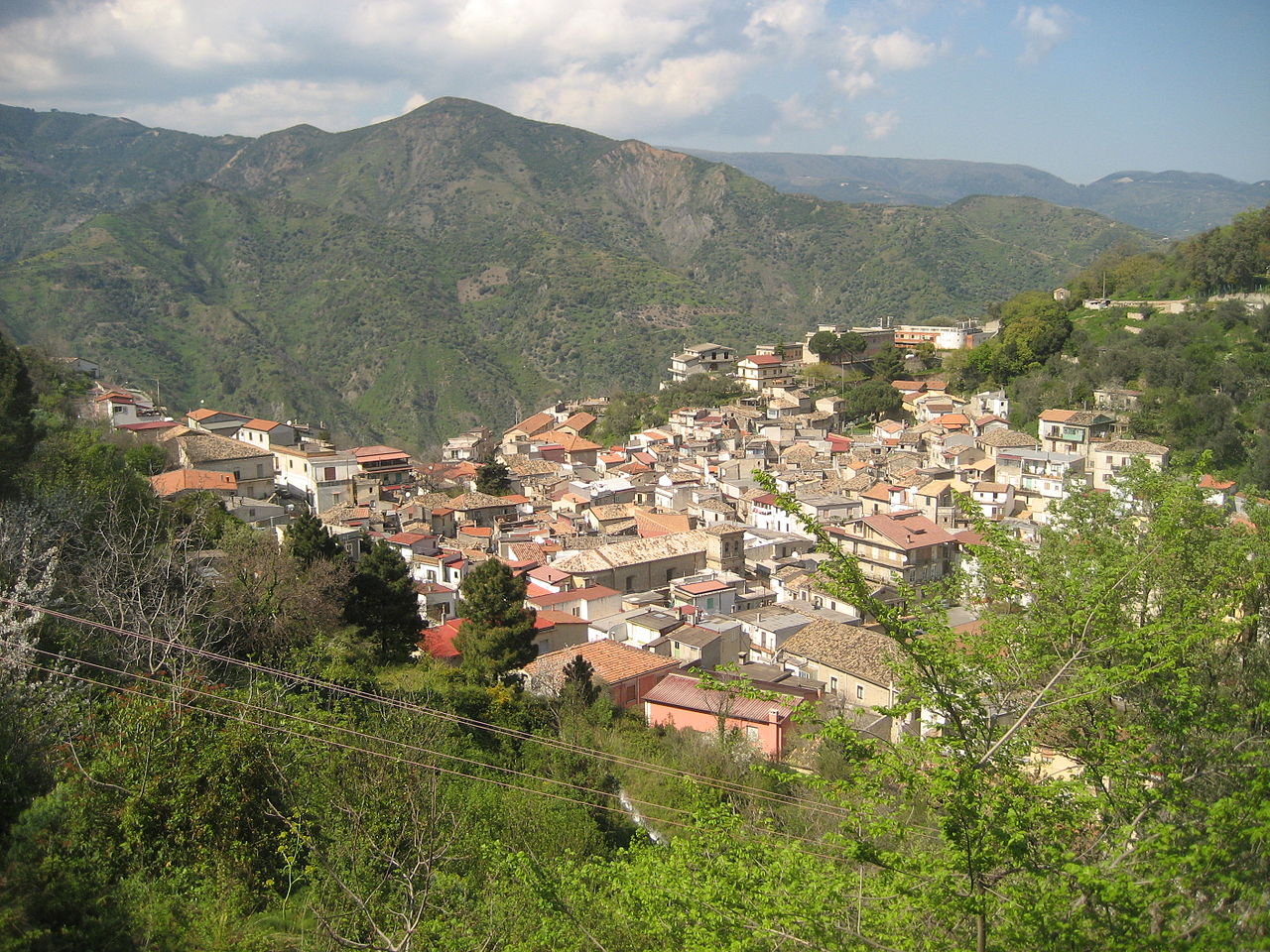 pazzano wiki