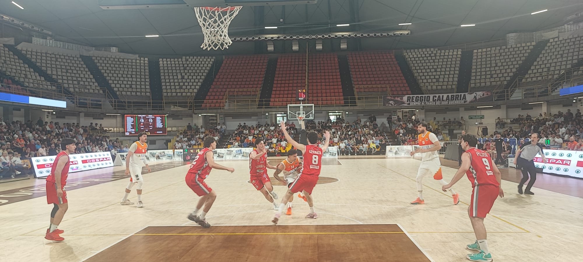 redel viola angri pallacanestro