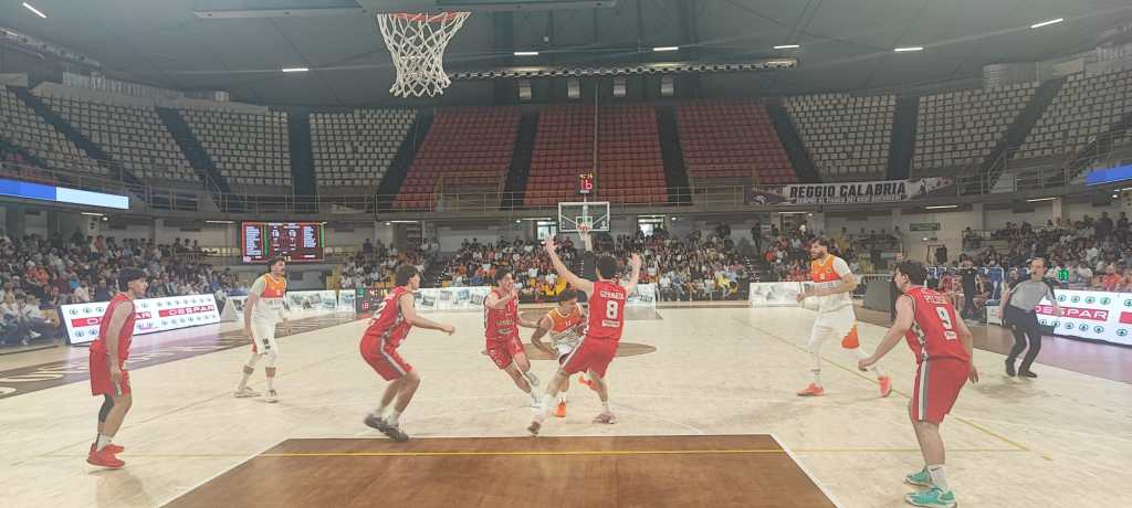 redel viola angri pallacanestro