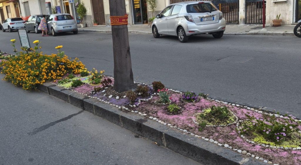 Adotta verde quartiere Stadio Sud Gebbione ()