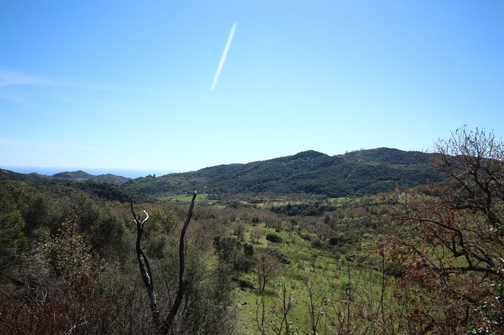 Piani di Campolico Brancaleone università dresda ()