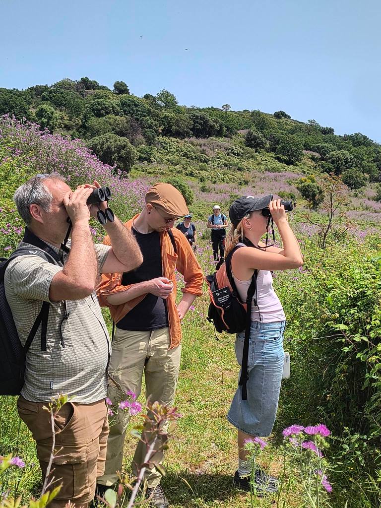 Piani di Campolico Brancaleone università dresda ()
