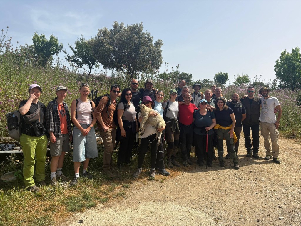 Piani di Campolico Brancaleone università dresda ()