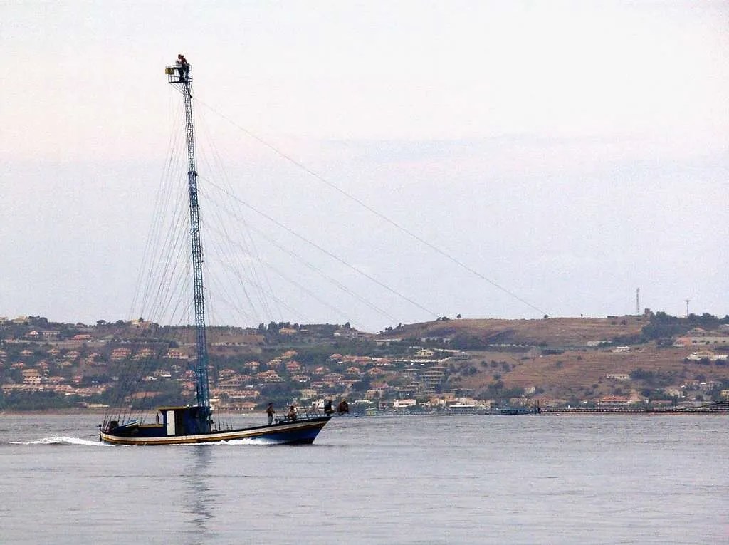 barca pescespada
