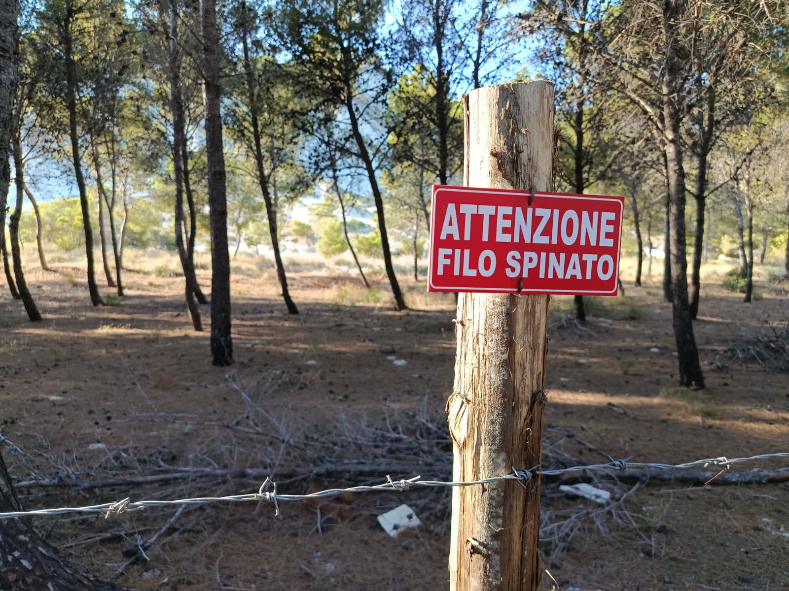 calanchi palizzi ()