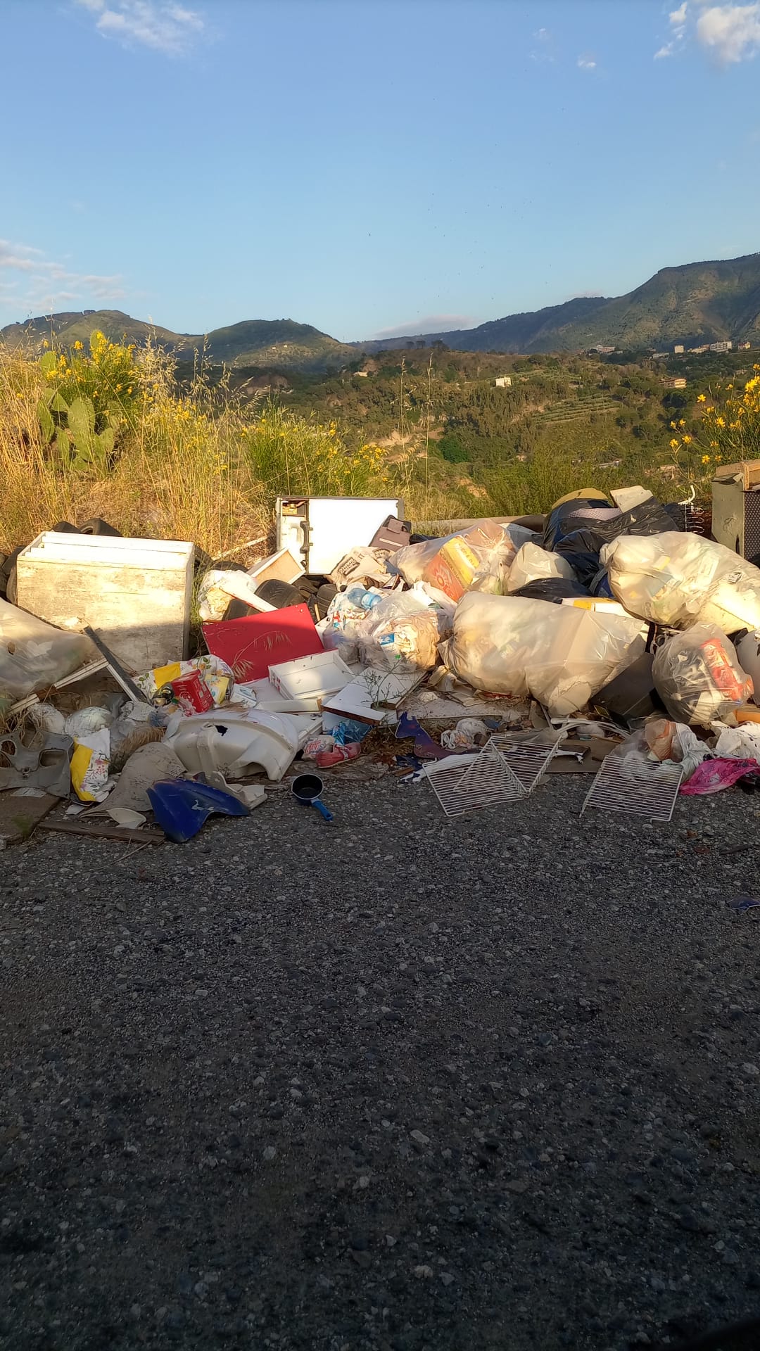 controlli oipa