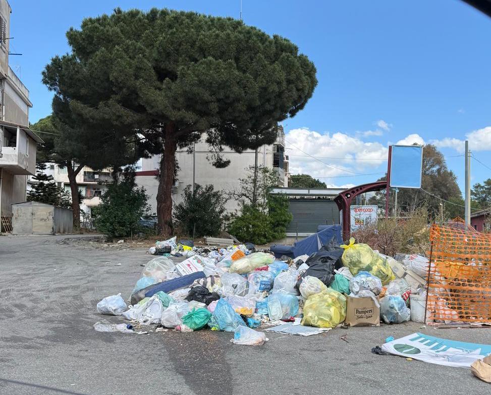controlli oipa