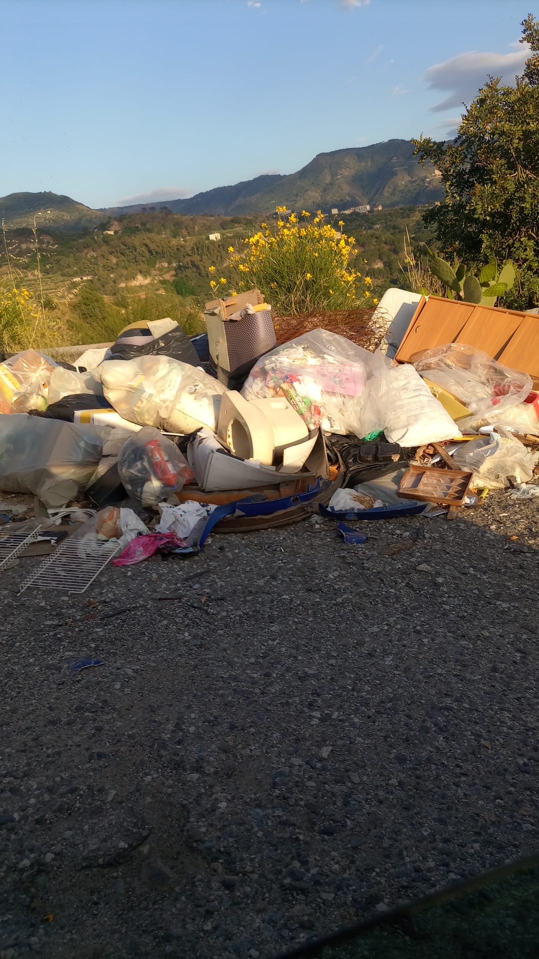 controlli oipa