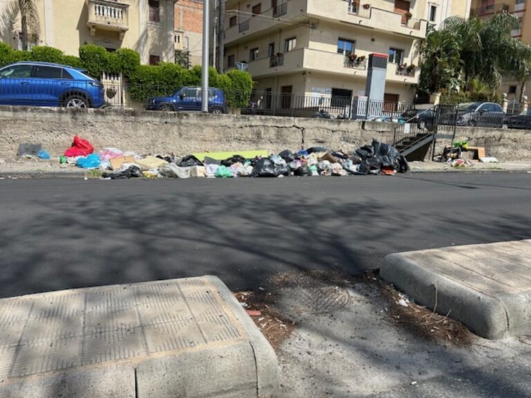 rifiuti viale europa
