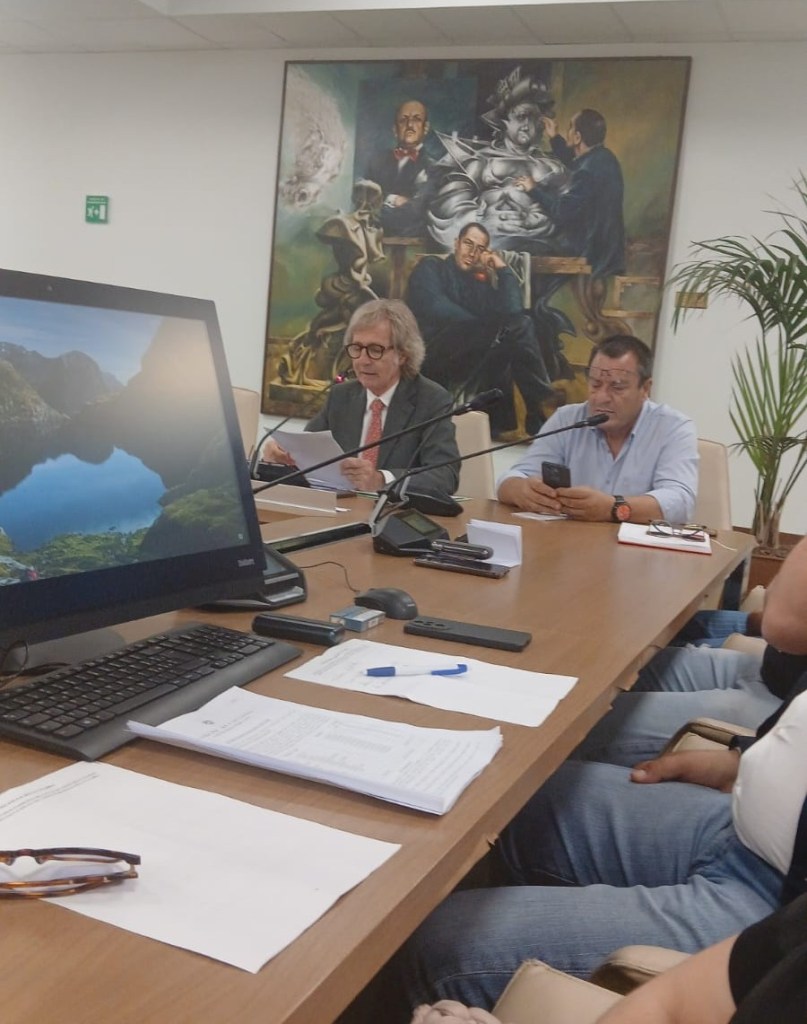 sindaco commissione