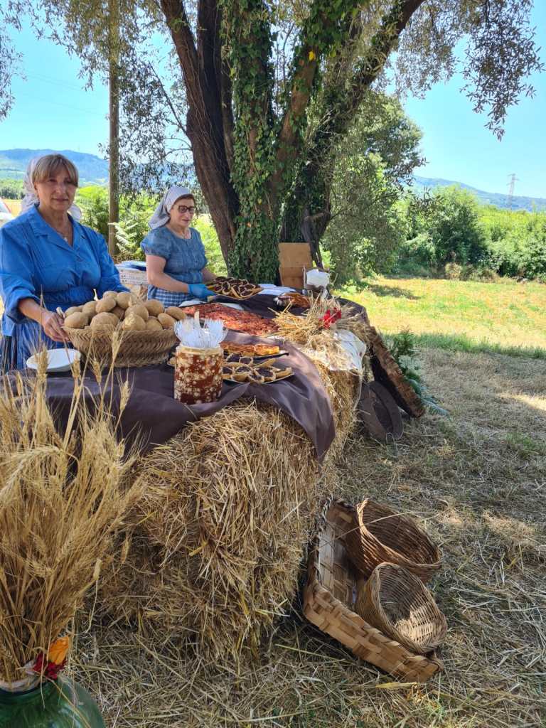 Festa mietitura Pellegrina ()