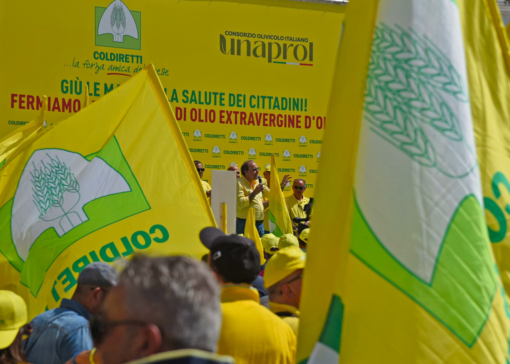 No trafficanti di Olio