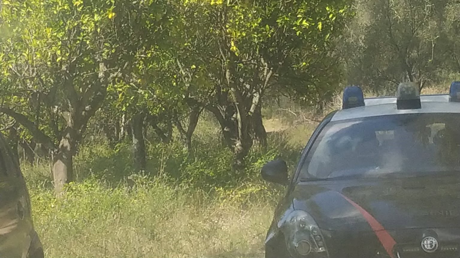 attentati patrizia rodi morabito