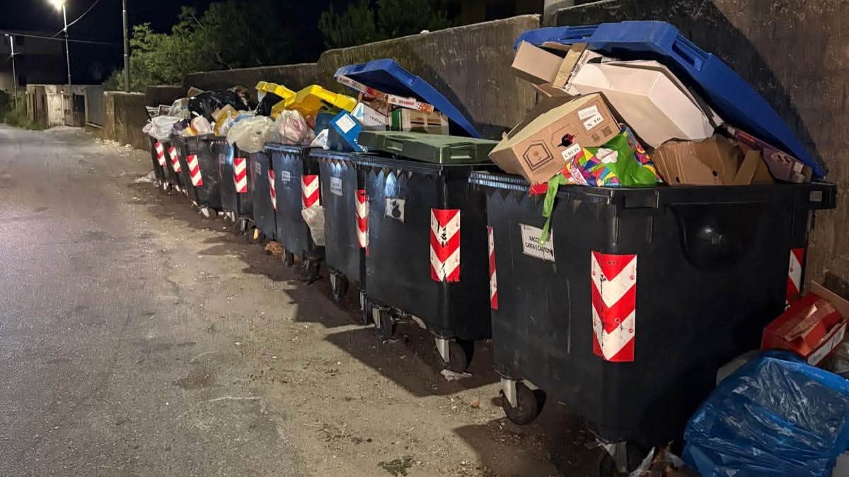 cassonetti rifiuti spazzatura