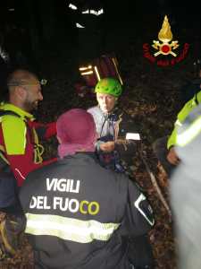 dispersa mesoraca