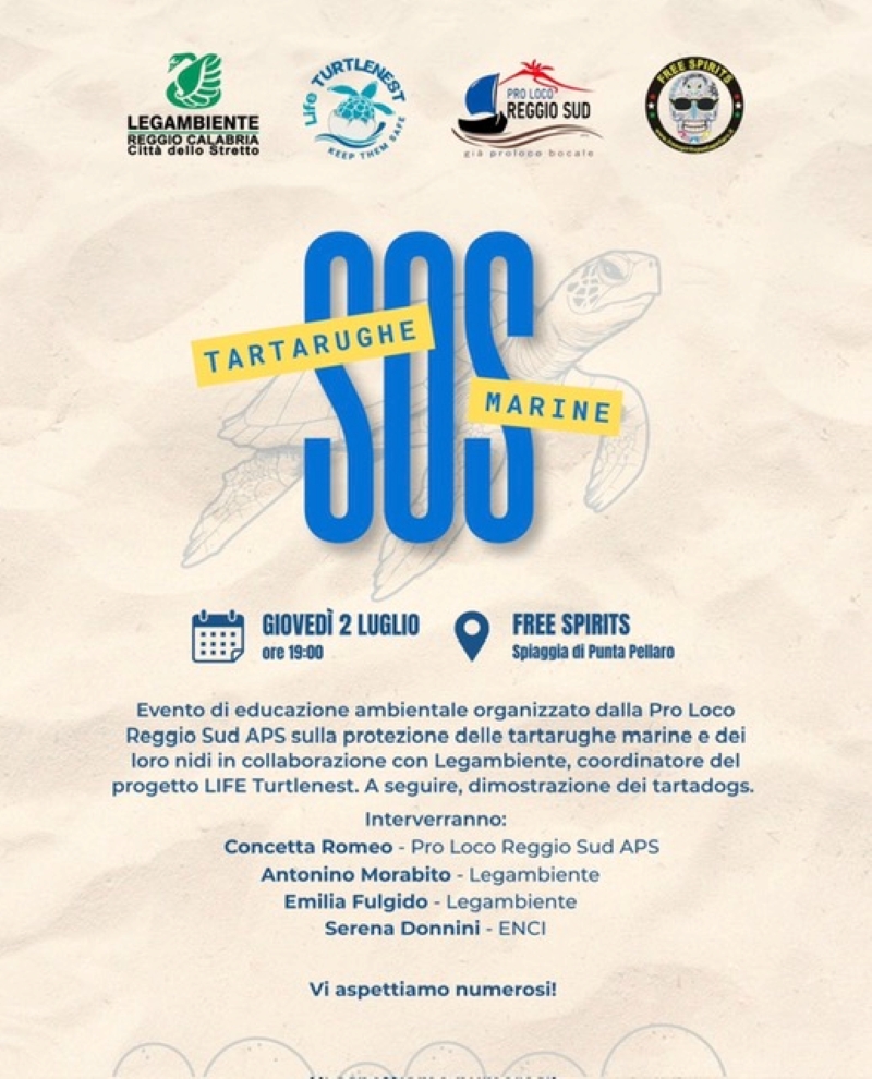evento tartarughe marine pellaro