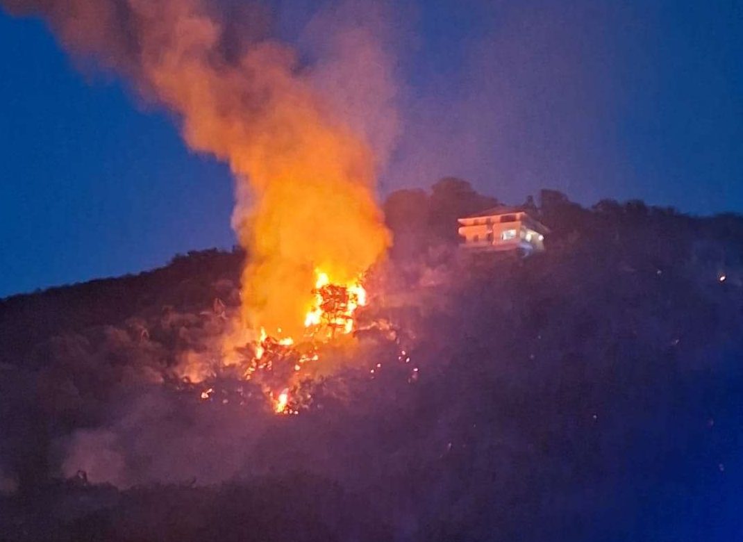 incendio ricadi ()
