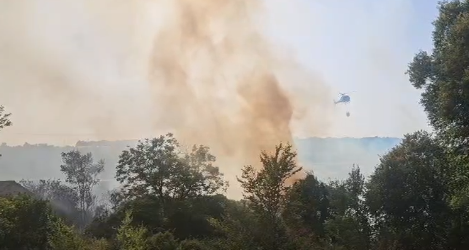 incendio rizziconi vvf