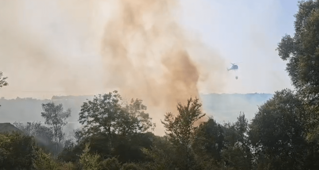 incendio rizziconi vvf