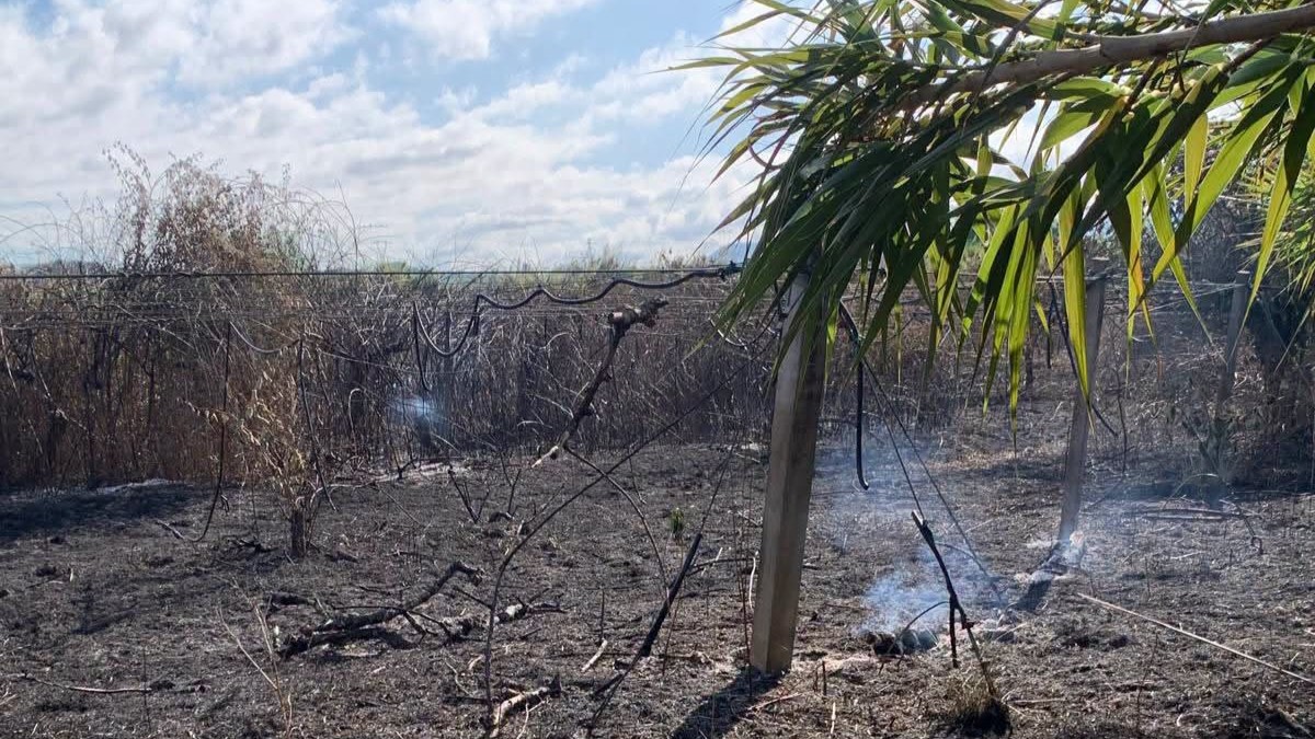 incendio terreno kiwi patrizia rodi morabito