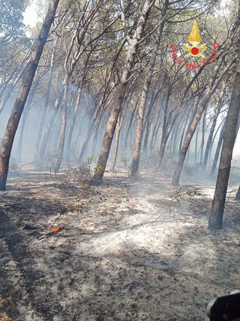 incendio vvf curinga ()