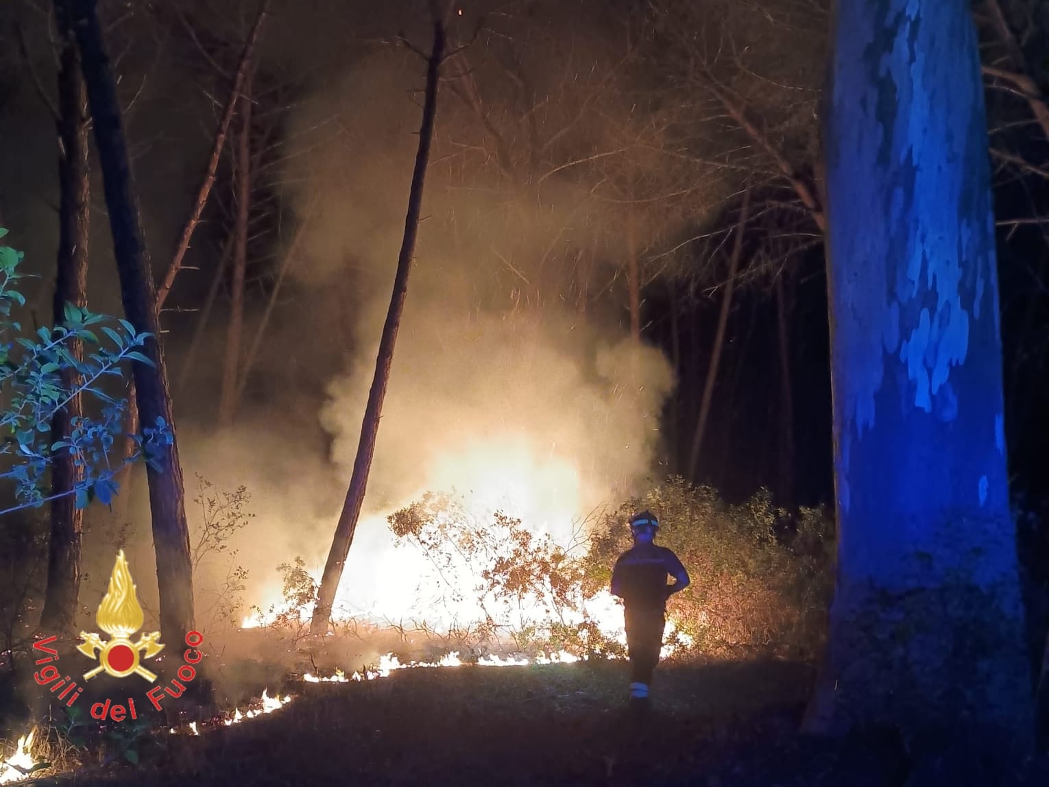 incendio vvf curinga ()
