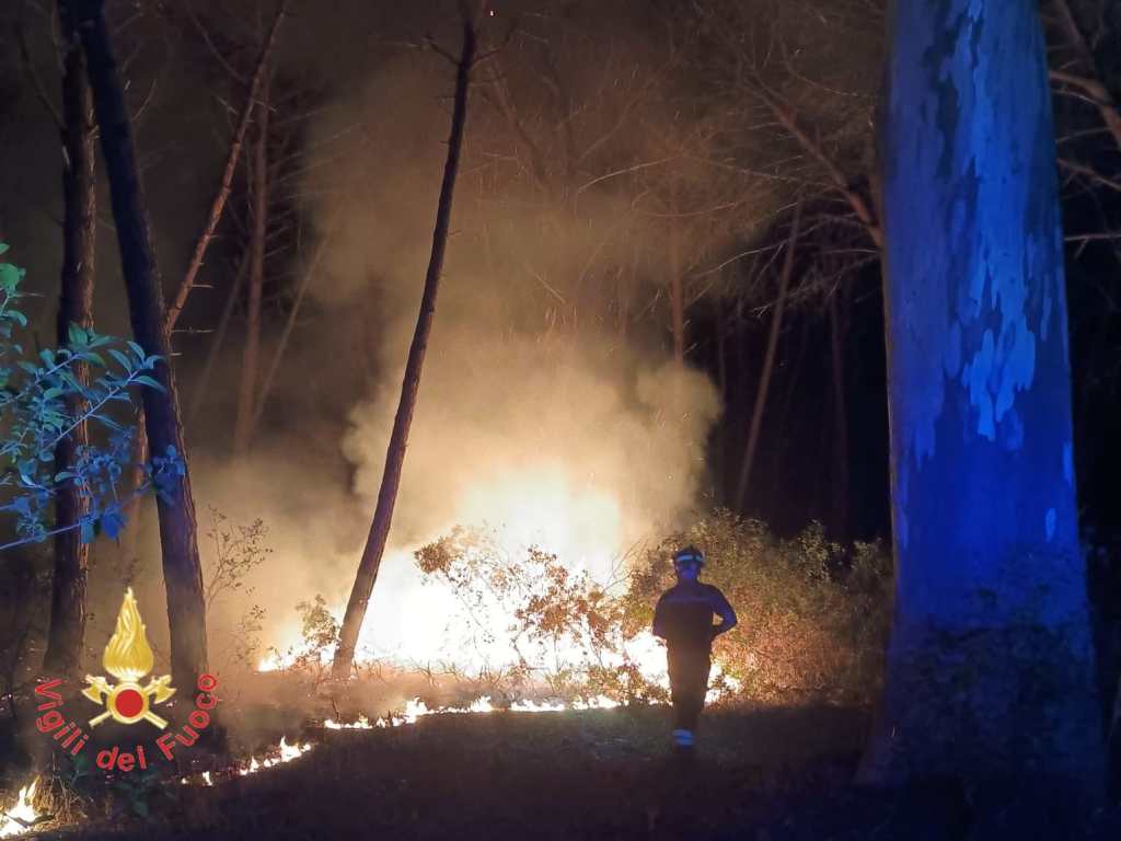 incendio vvf curinga ()