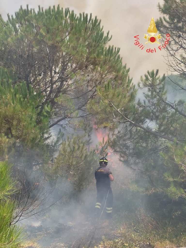 incendio vvf curinga ()