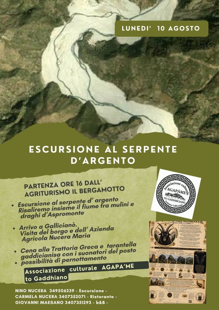 locandina galliciano