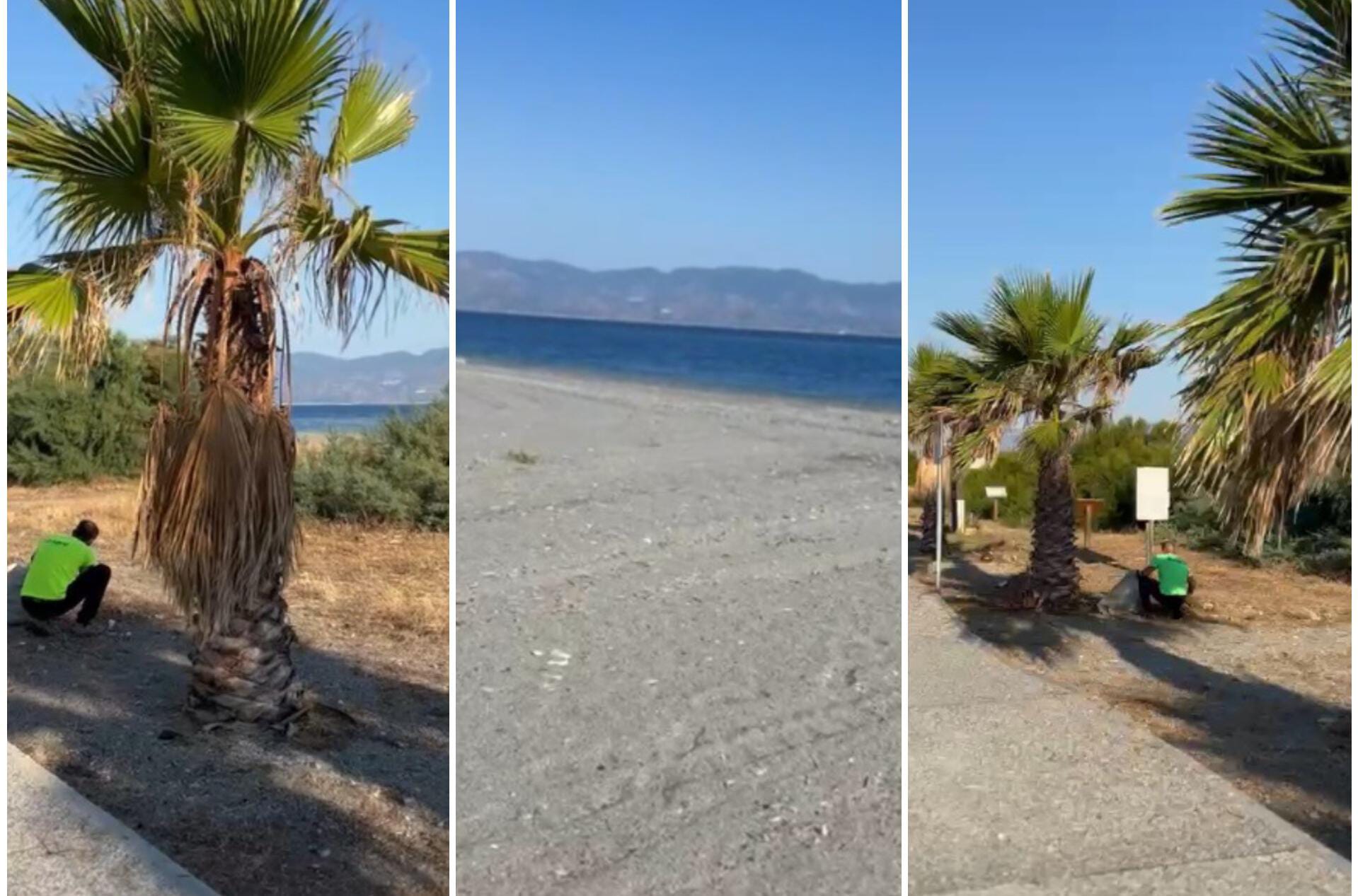 pulizia spiaggia pellaro ()