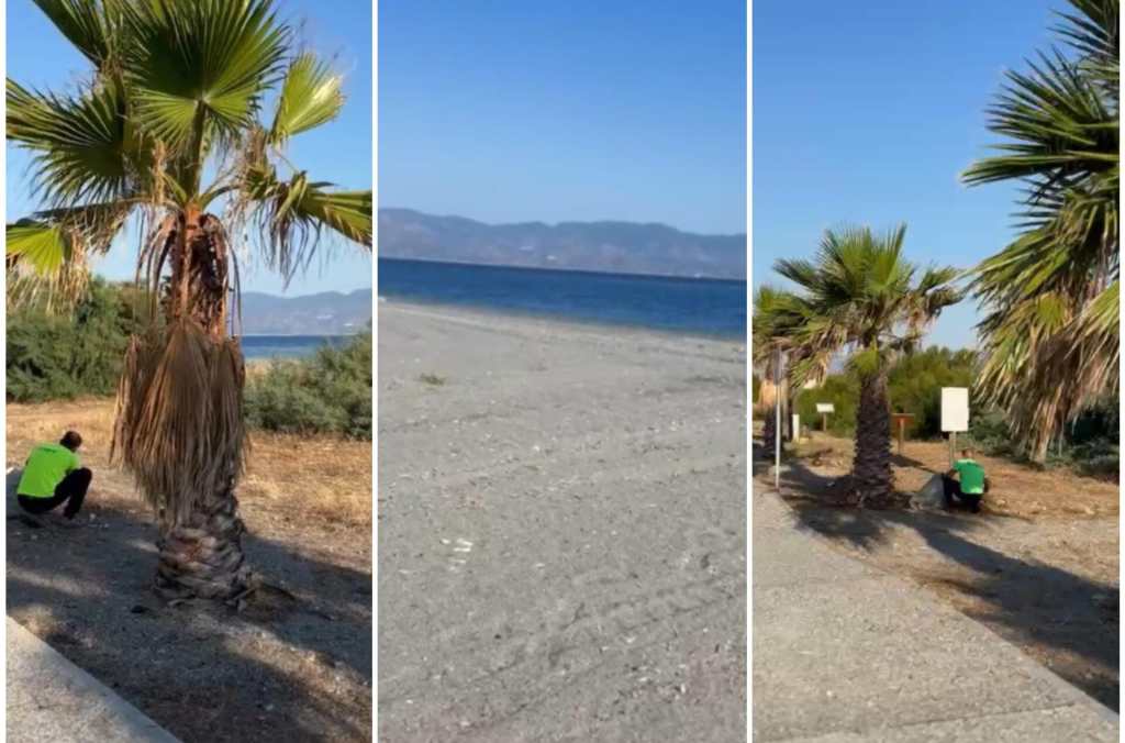 pulizia spiaggia pellaro ()
