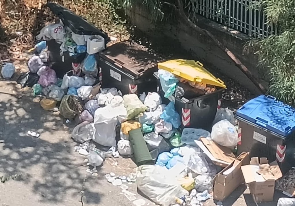 segnalazione spazzatura