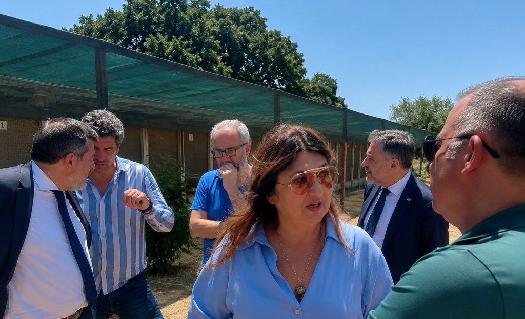 Calabria, ‘guerra’ al randagismo: tour istituzionale nelle strutture e il piano regionale