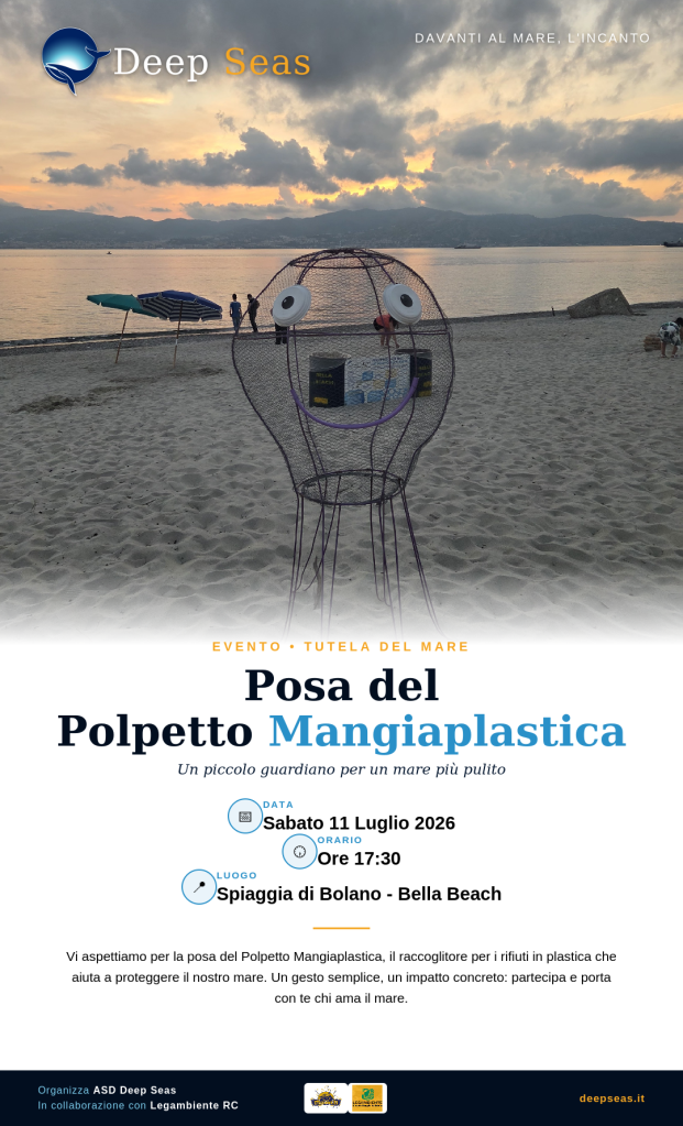 volantino polpetto mangiaplastica