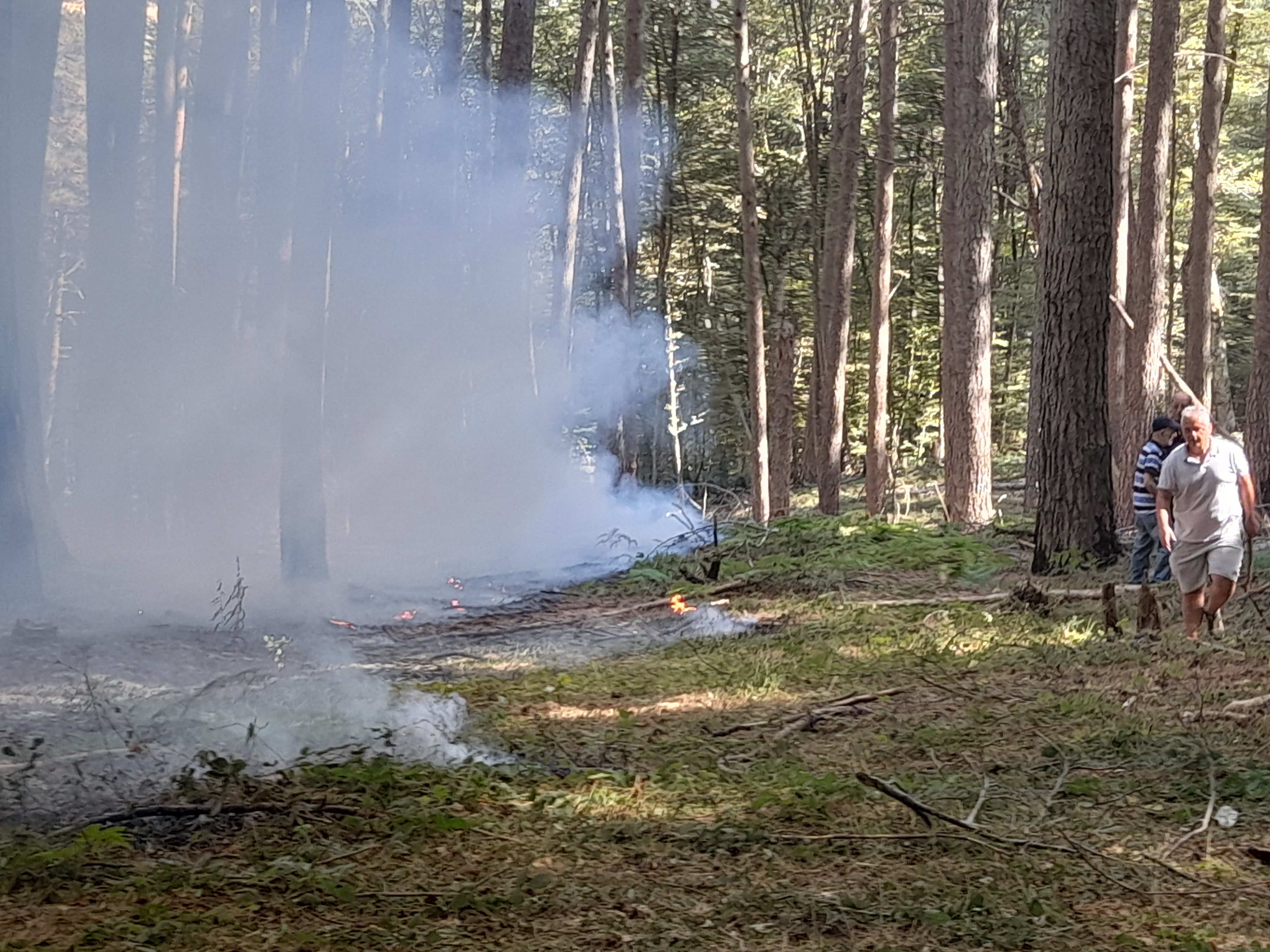 Aspromonte, fiamme al Cippo di Garibaldi: devastata l’area naturalistica