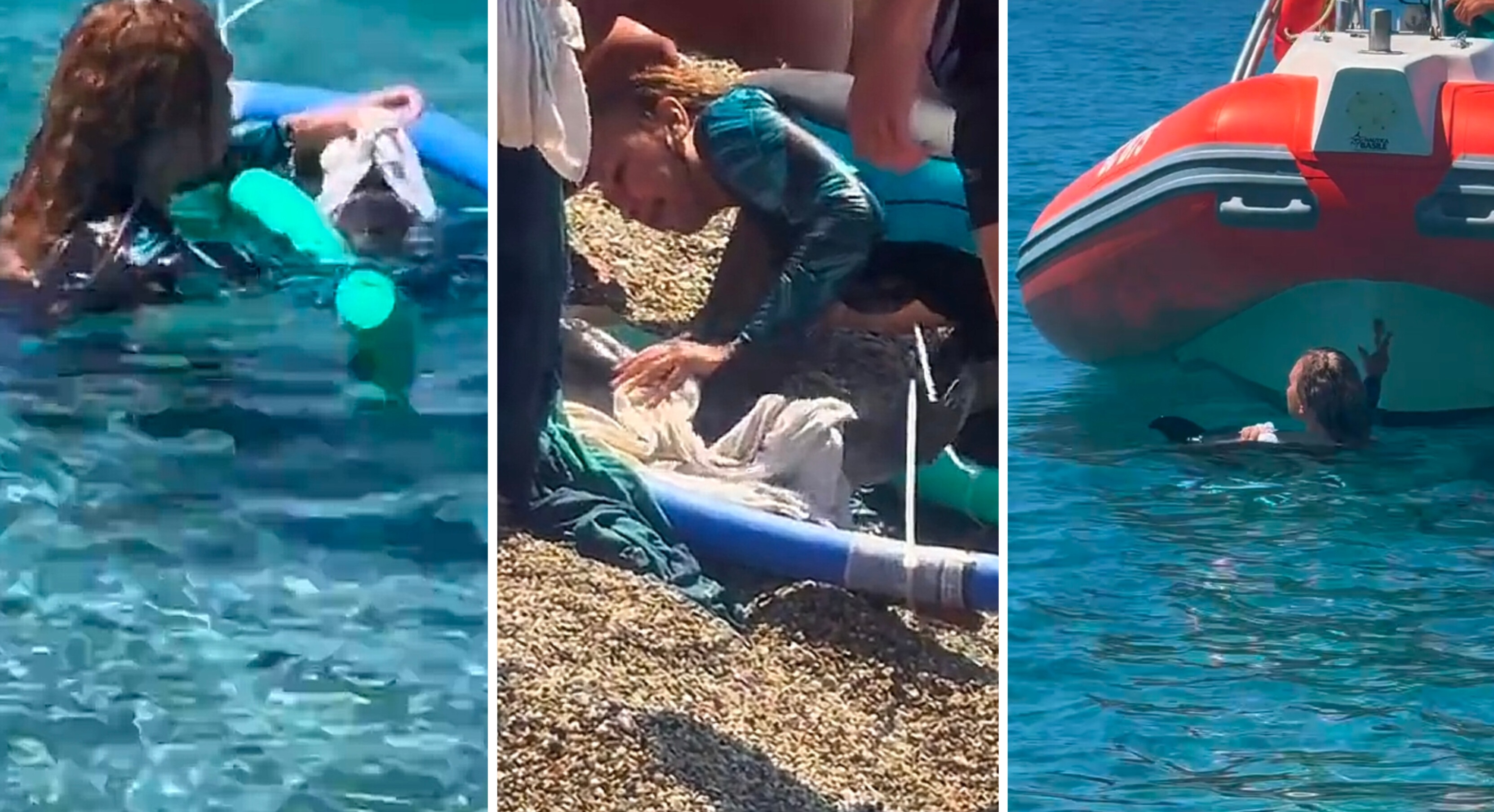 Cucciolo delfino tonnara palmi