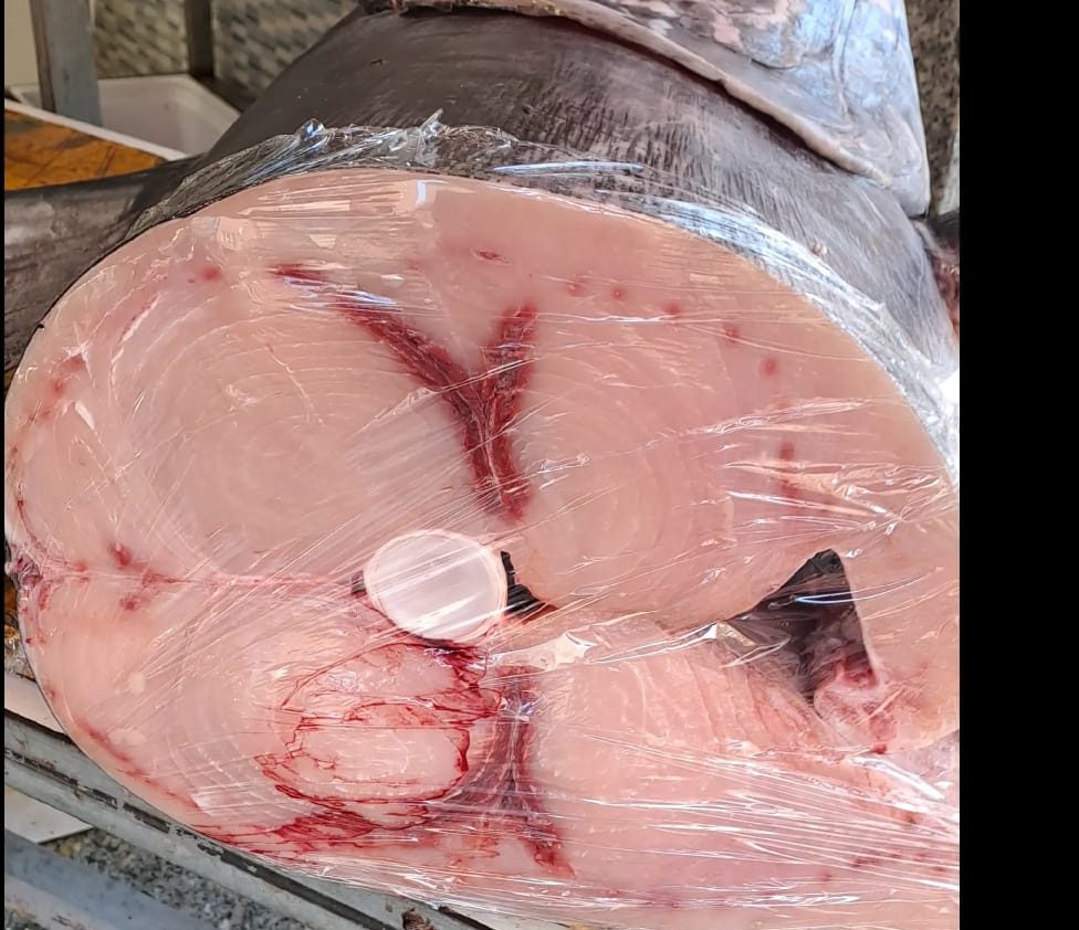Pescheria Tamiro Reggio Calabria ()