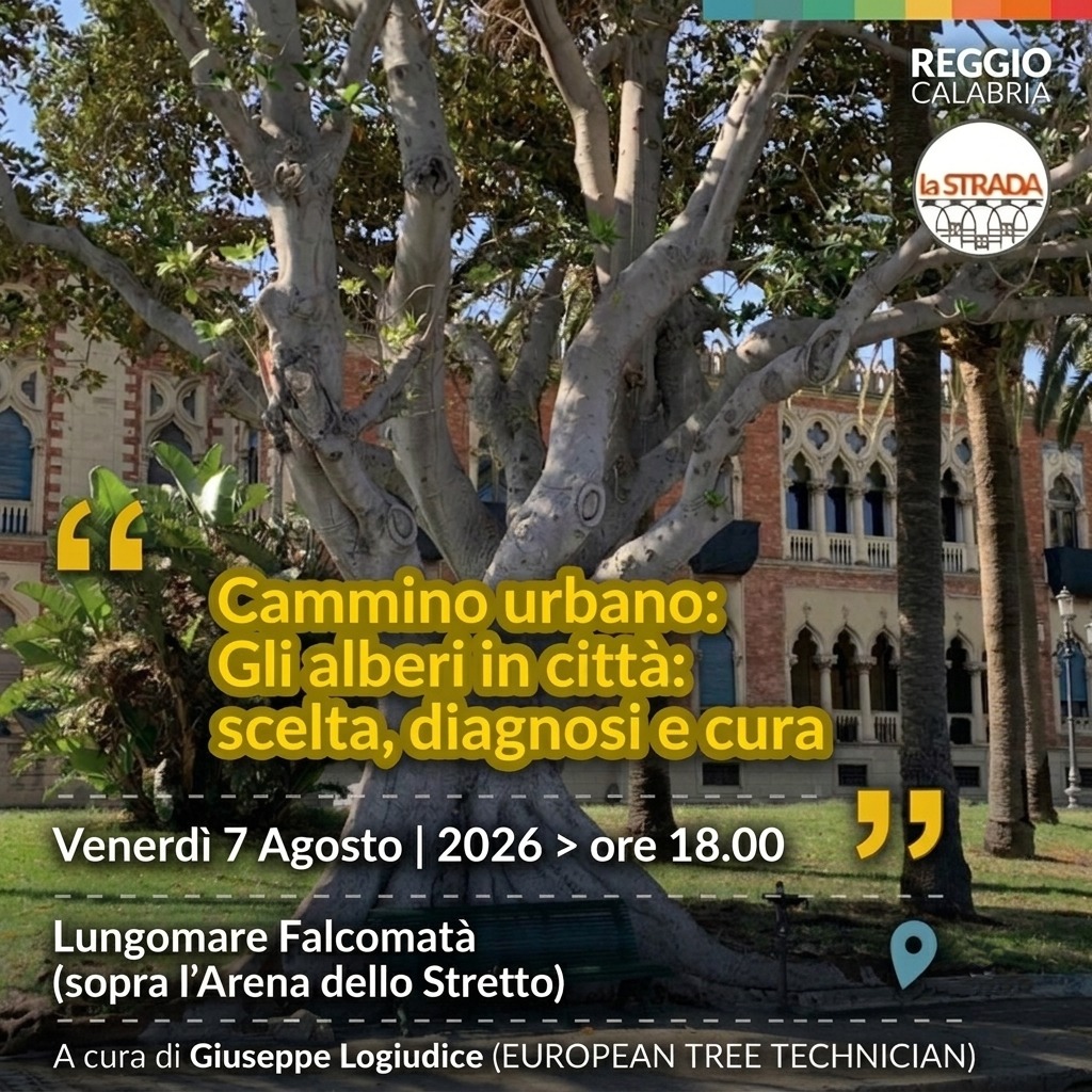 cammino urbano alberi lungomare ()