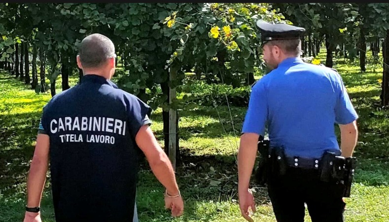 controlli agricoltura