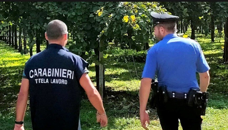 controlli agricoltura