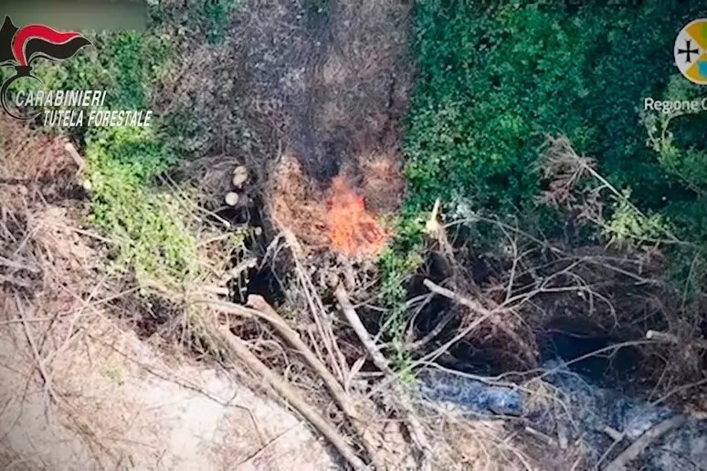 incendio boschivo