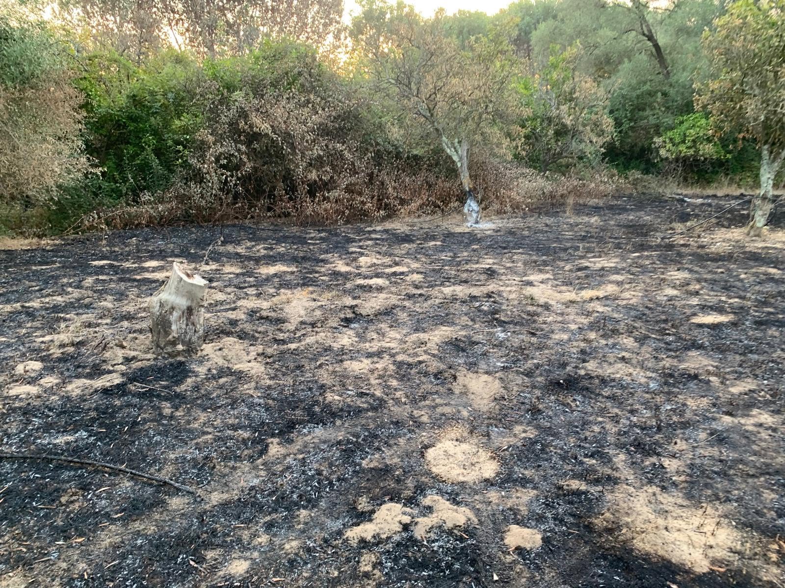 incendio rodi morabito a