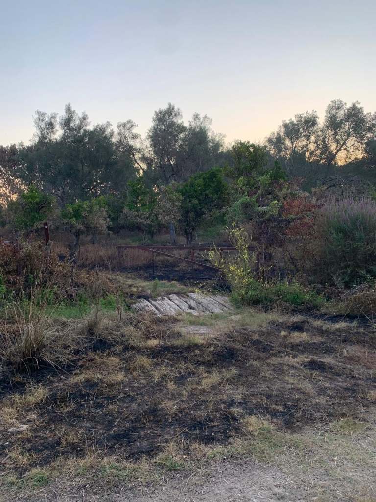 incendio rodi morabito b